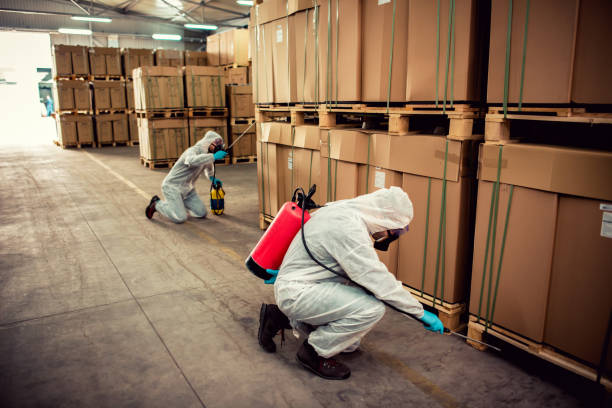 Best Cockroach Control Services  in Brownfields, LA