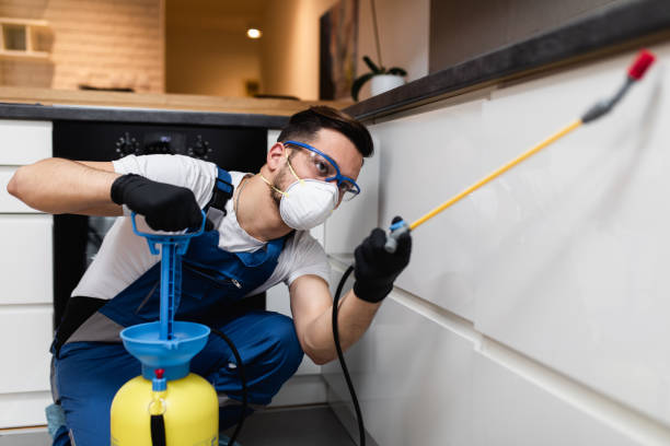 Best Pest Removal Services  in Brownfields, LA
