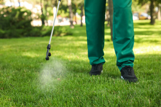 Best Pest Inspection Near Me  in Brownfields, LA