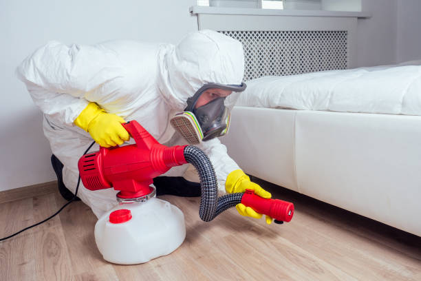Best Affordable Pest Control Services  in Brownfields, LA