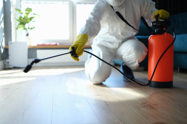 Best Pest Prevention Services  in Brownfields, LA