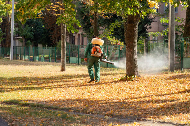 Best Insect Control  in Brownfields, LA