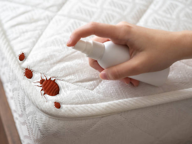Professional Pest Control in Brownfields, LA