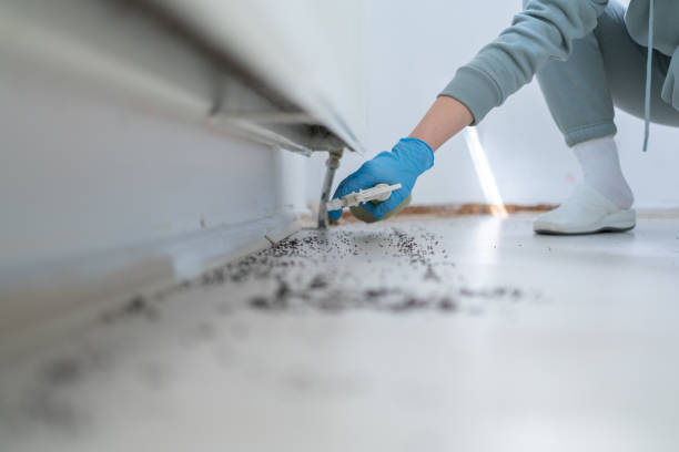 Wildlife Control Services in Brownfields, LA